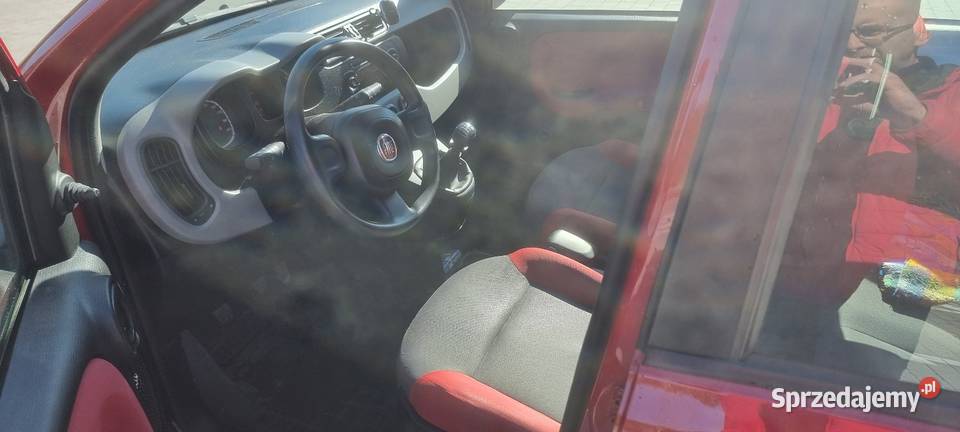 Panda z lpg podkarpackie