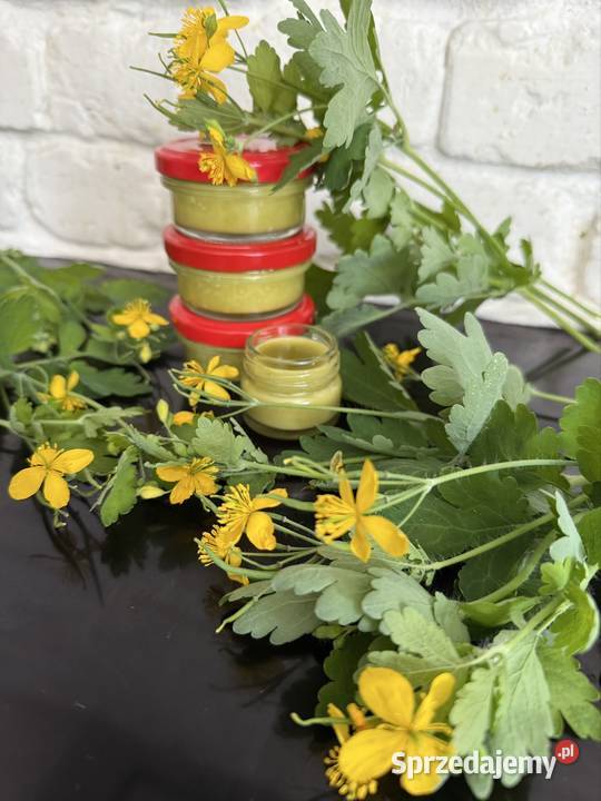 Maść z glistnika jaskółcze ziele na enzemę