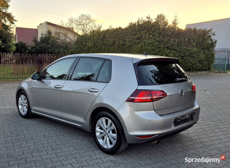 Volkswagen Golf 7 16 TDI BlueMotion Leszno