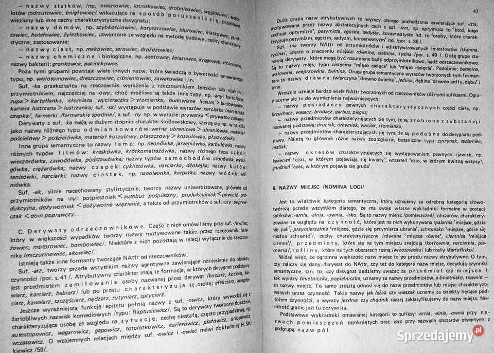 Zarys słowotwórstwa polskiego Słowotwórstwo