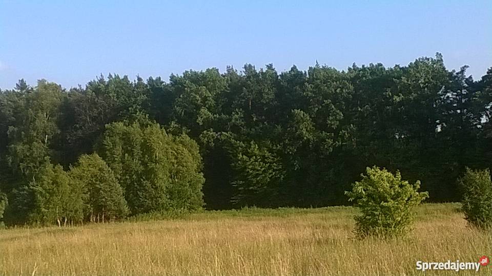 Działka Niepołomice Wola Batorska widok na Puszc 6000m2 Wola Batorska