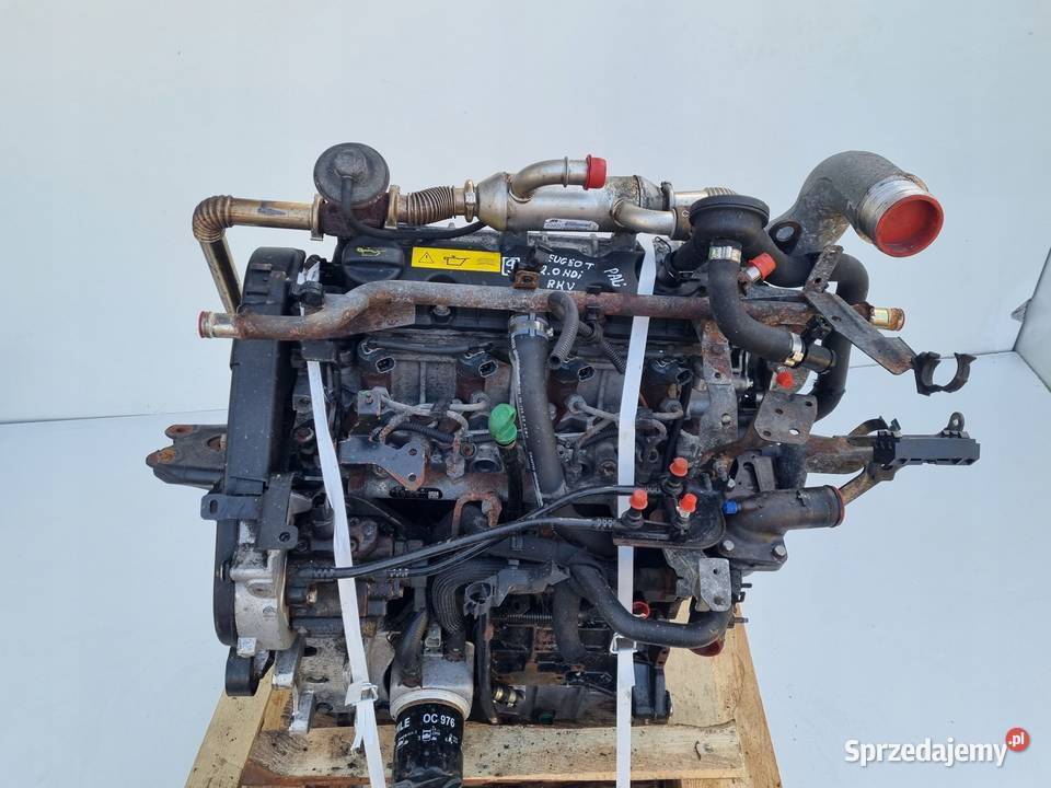 SILNIK KOMPLET Citroen Jumper 20 JTD HDI 84 Rudka