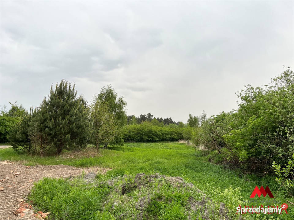 Działka 2888m2 Osiek sprzedam
