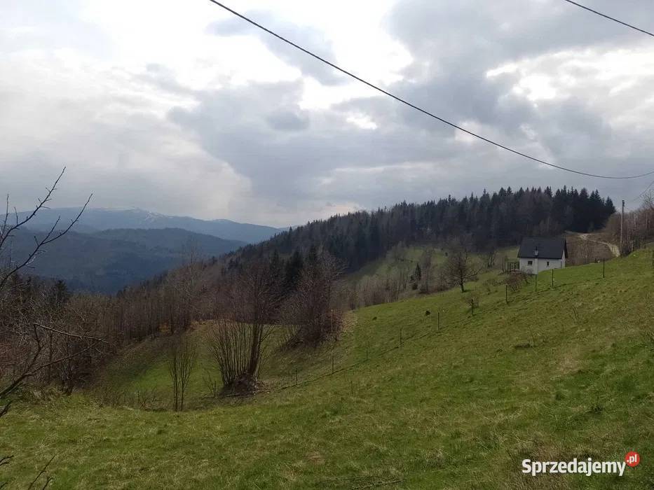 Domek letniskowy na wynajem agroturystyka Agroturystyka Przyborów