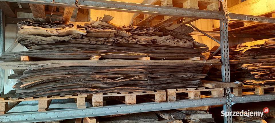 Fornir czarny dąb Krapkowice