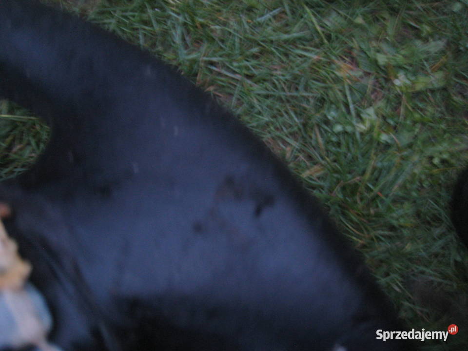 Kierownica skórzana Opel Astra G II Zafira A Kraków