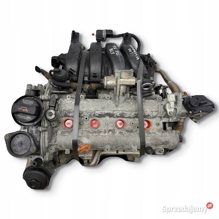 SILNIK BLF Audi A3 II 8P Skoda Octavia II 16 FSI osobowe Chełm