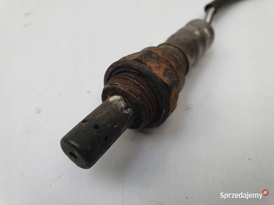 SONDA LAMBDA Renault Modus Clio II III IV Thalia Chełm sprzedam