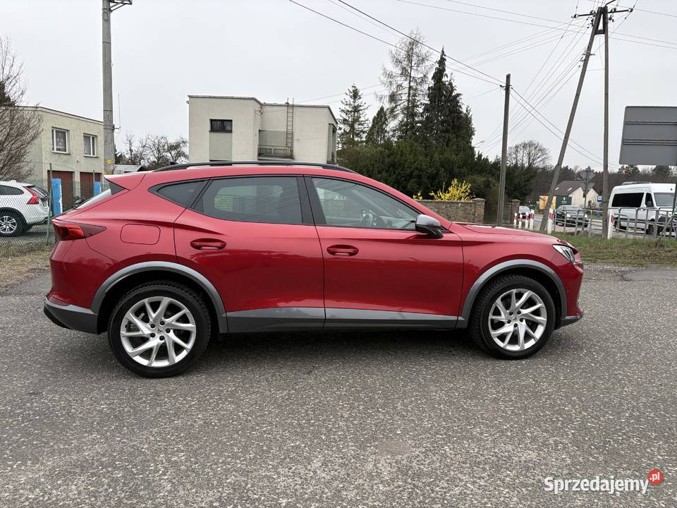 Salon BezwypKlima kameraI właścicelSkóra Libiąż