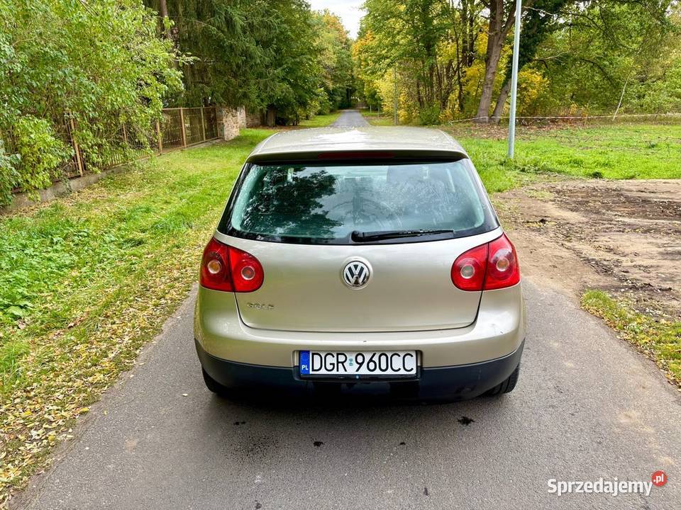 Volkswagen Golf V 14 MPI dużym serwisie Golf Iłowa