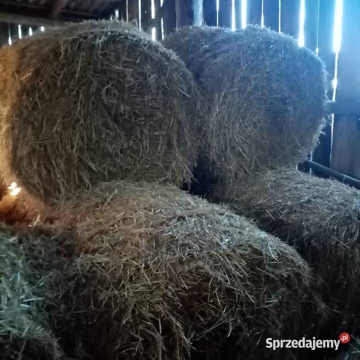 Słoma