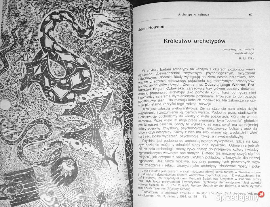 Albo albo Inspiracje jungowskie Z Dudek J lubelskie Chełm