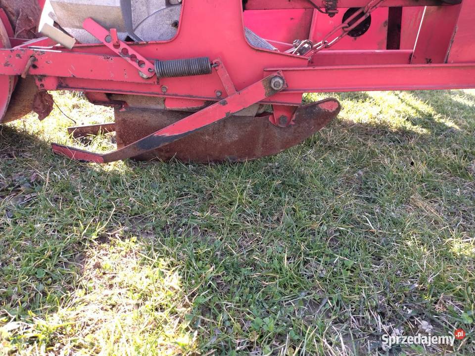 siewnik Głuchołazy