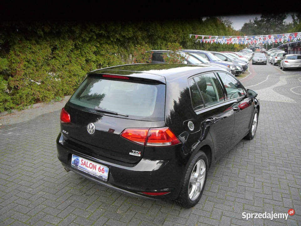 Volkswagen Golf 16tdi 170 Stan b 100bezwypadkowy elektryczne lusterka Częstochowa