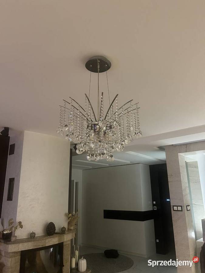 Monika Poraj sprzedam