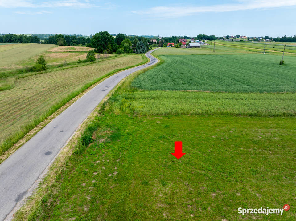 Działka Wzdół Kolonia Bodzentyn 30 Kielc 6100m2 Wzdół-Kolonia