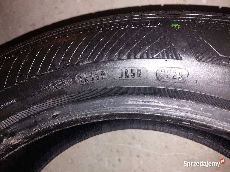 Opony Goodyear EfficientGrip Performance