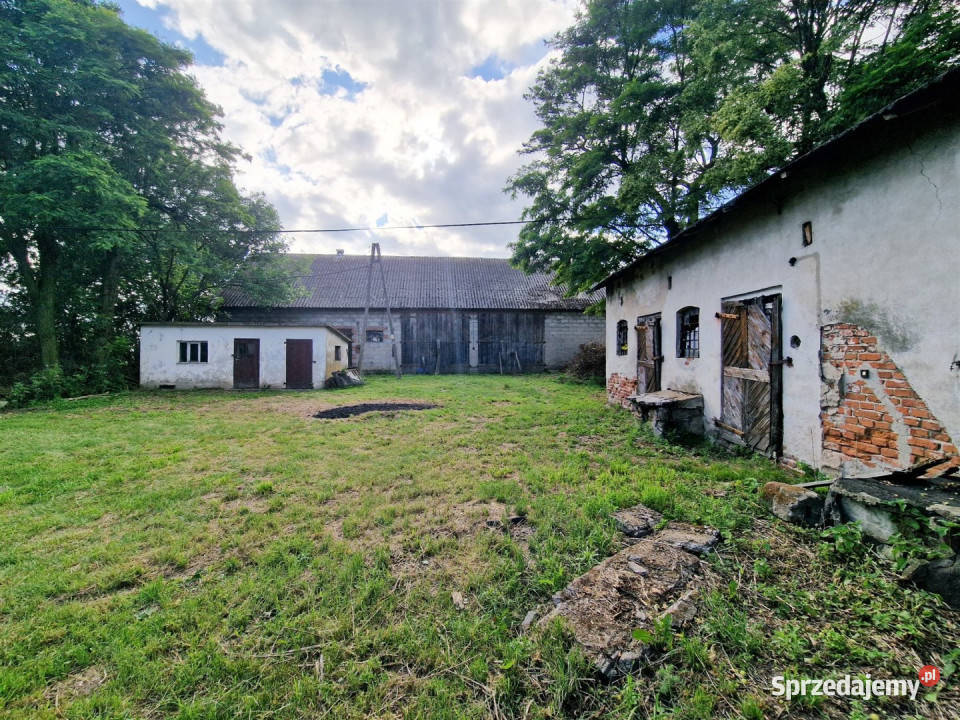 Dom sprzedam Mikołajewice 60m2