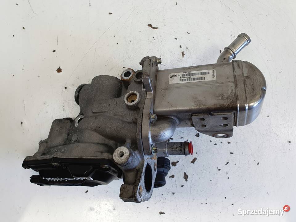 Renault Scenic III 19 DCI CHŁODNICA SPALIN egr Rudka sprzedam