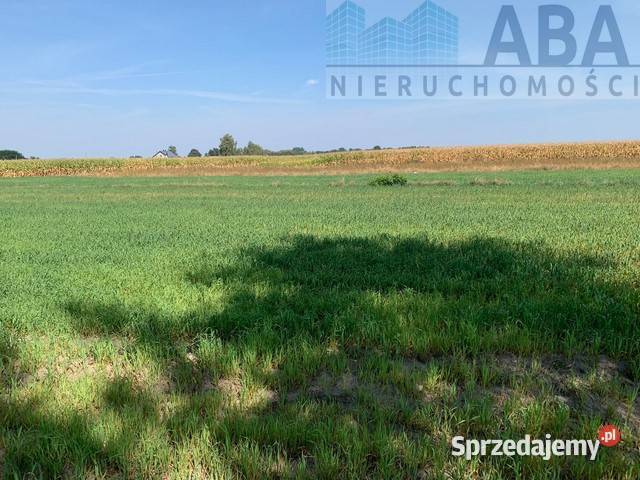 Złotkowy gm Rychwał 3 działki budowlane na sprzedam