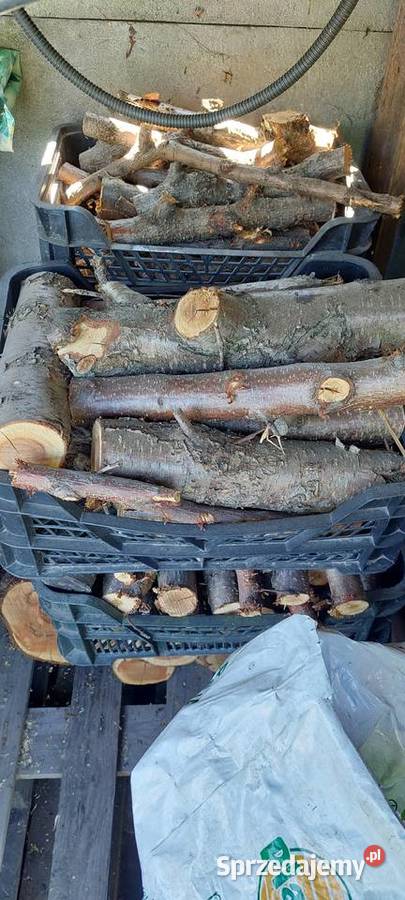 Owocowe drewno do wędzenia Rydultowy