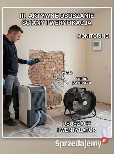 Sprawdzenie czy w mieszkaniu domu występuje Odbiory techniczne usługi budowlane