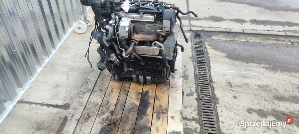 SILNIK KOMPLETNY AUDI VW SEAT SKODA 16 TDI CAYC Przystajń