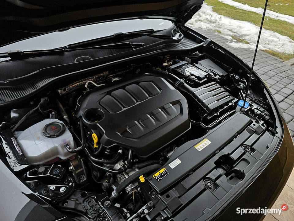 Cupra Leon serwis ASO panorama dach relingi dachowe Rydułtowy