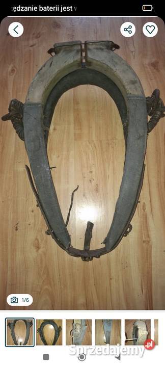 Homonto stare Kłodzko