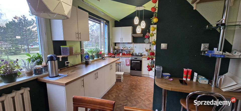 Mieszkanie sprzedam Katowice 7212m 3 pokoje Sprzedaż