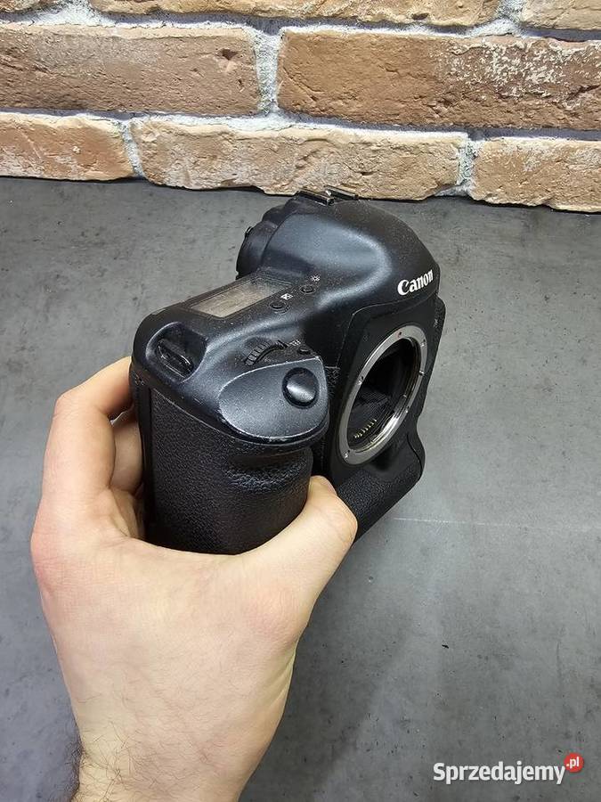 Canon EOS 1Ds Canon EF 2470