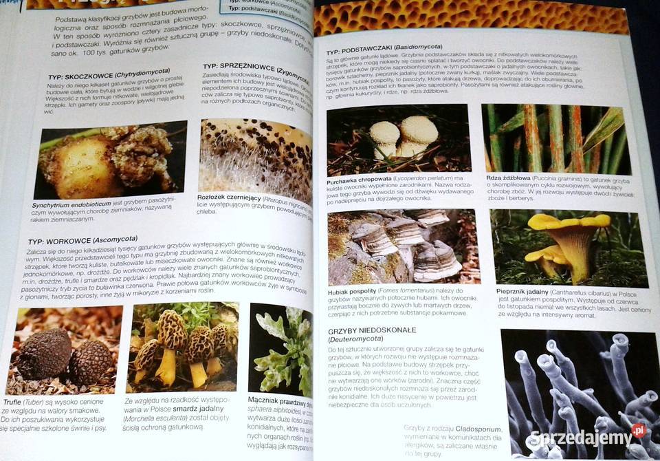 Biologia na czasie 1 Podręcznik Zakres Pozostałe Chełm