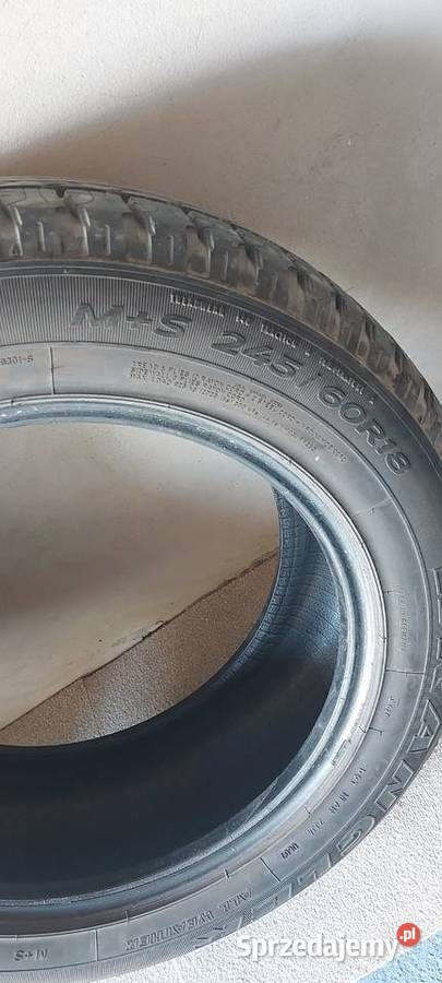 Opony całoroczne 24560R18