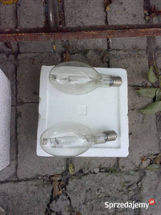 Żarówki loft Lublin sprzedam