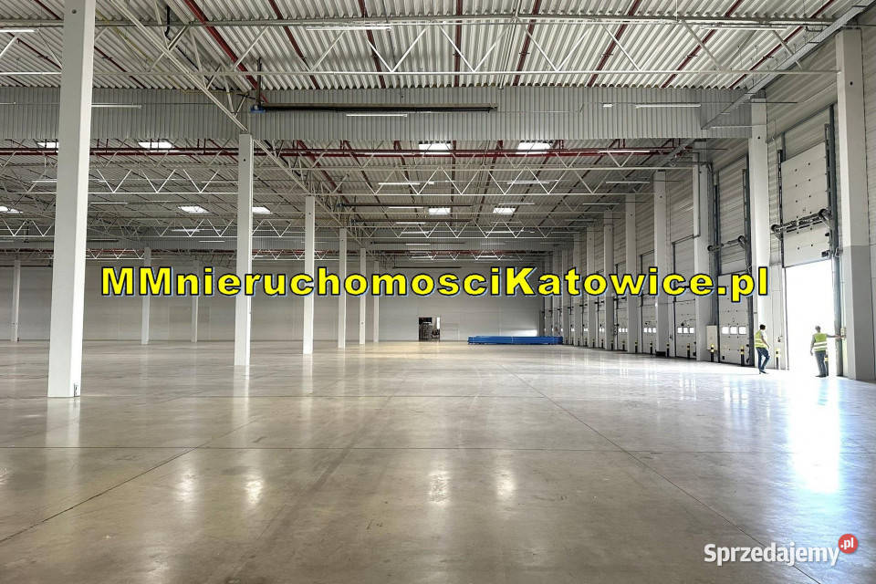 Hale do wynajęcia Ruda Śląska A4 plac biura 13150m2 śląskie sprzedam