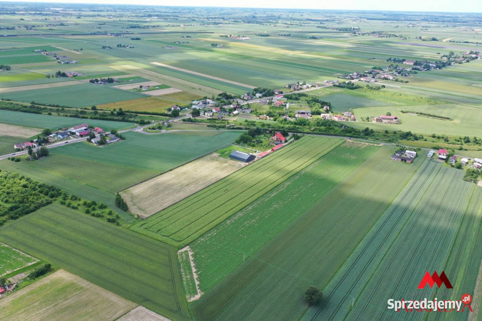 Działka 23519m2 Kowal sprzedam