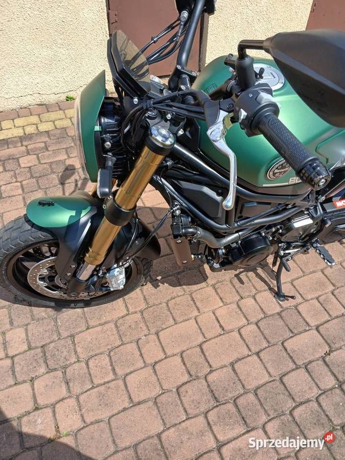 Benelli Leoncino 800 Scrambler nowy Kutno