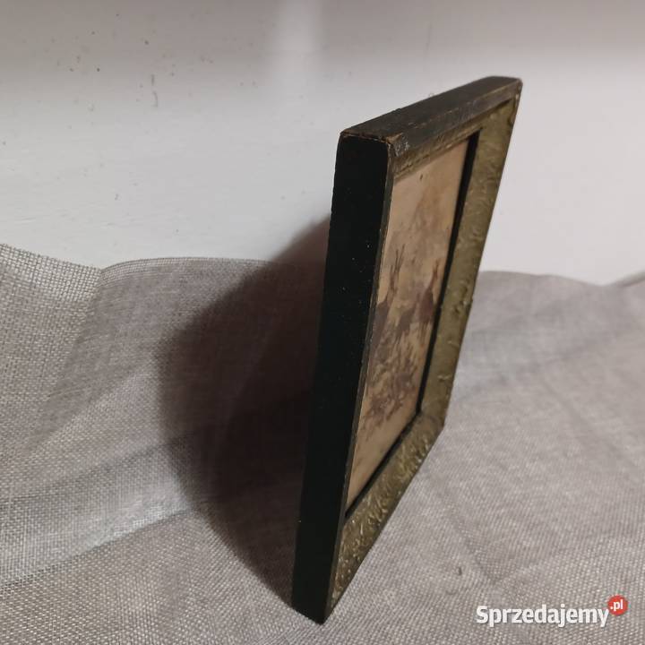 Kozice w wysokich górach