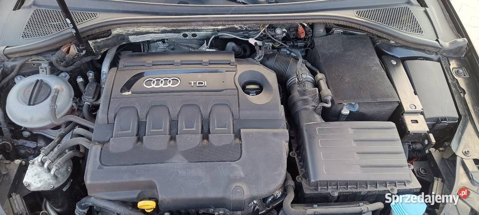 Audi A3 8v 20 TDI Zarejestrowany w Polsce Putnowice Wielkie sprzedam