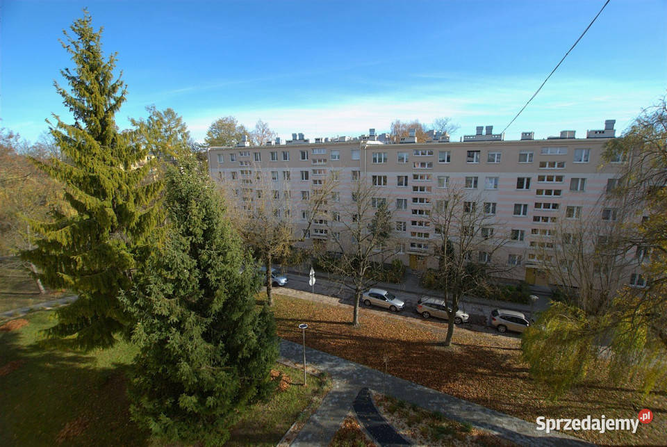 wynajmu mieszkania Kielce Wiosenna 461m 2 pok Wynajem