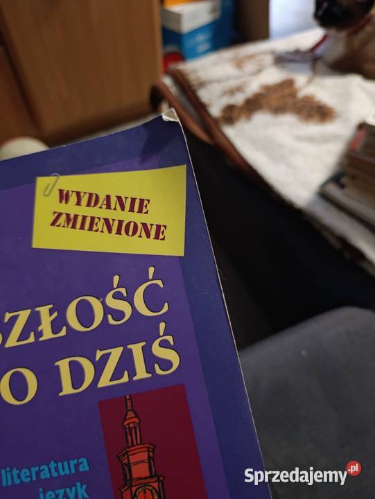 Przeszłość to dziś Literatura język kultura wielkopolskie