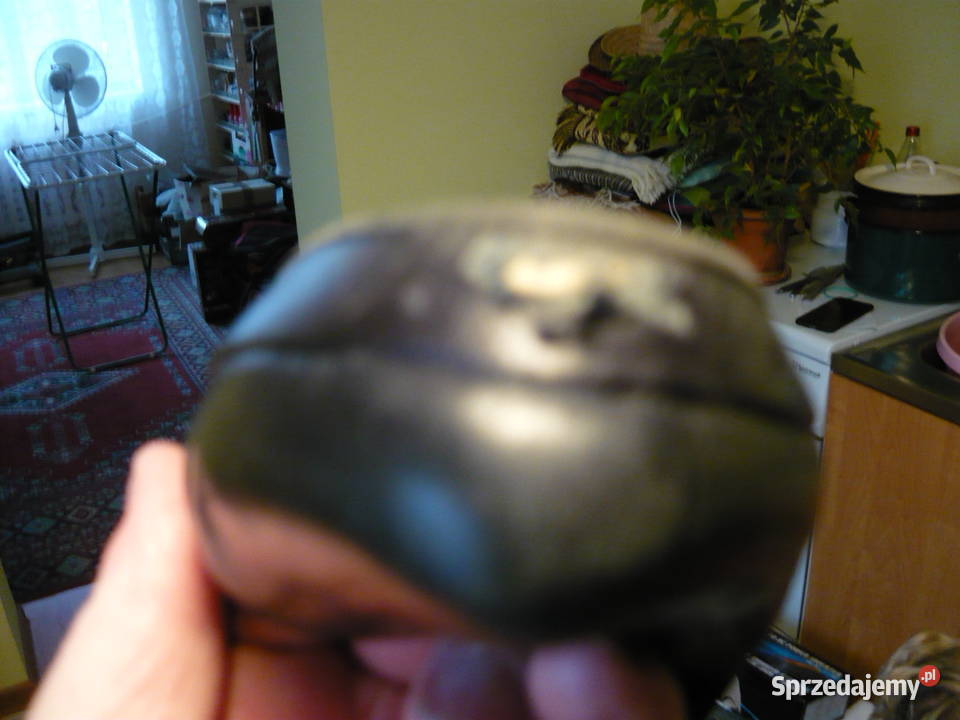 Buty damskie Badura Myszków