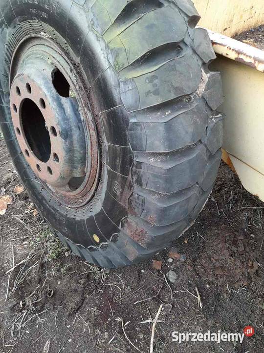 Koło marki Prostor rozmiar 320505120020 Mieszkowice