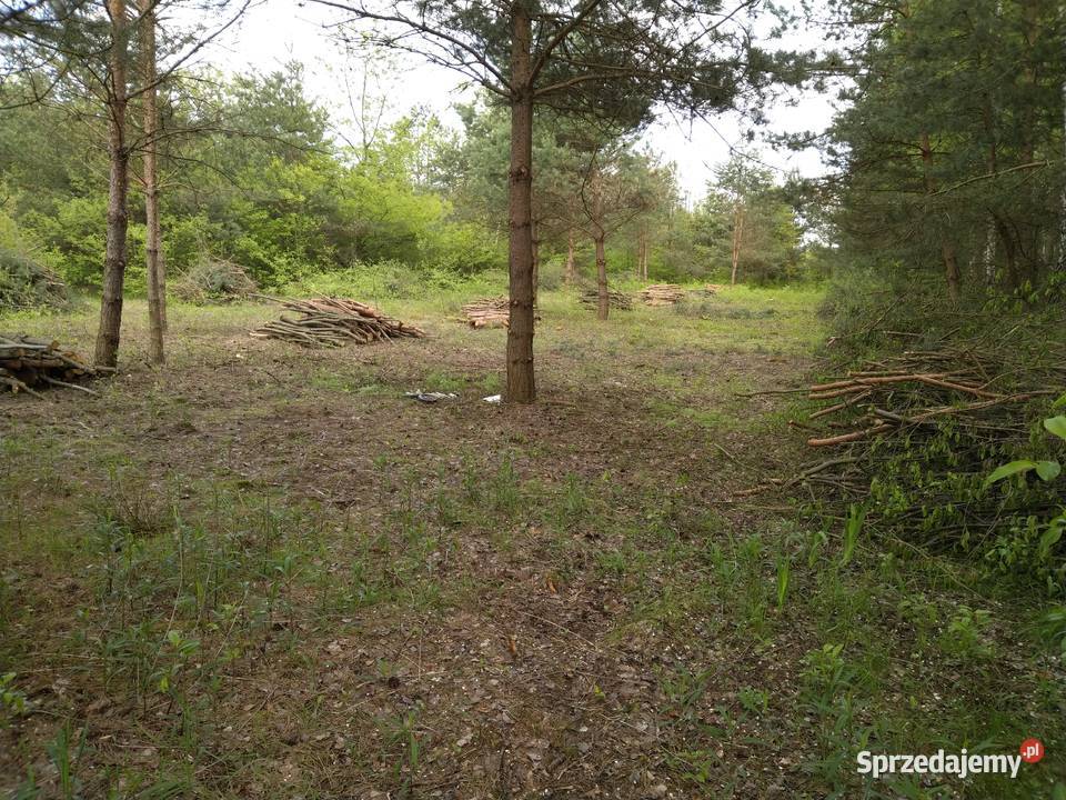 Działka budowlanorolna 55arów WZ Kurzyna Średnia polna podkarpackie