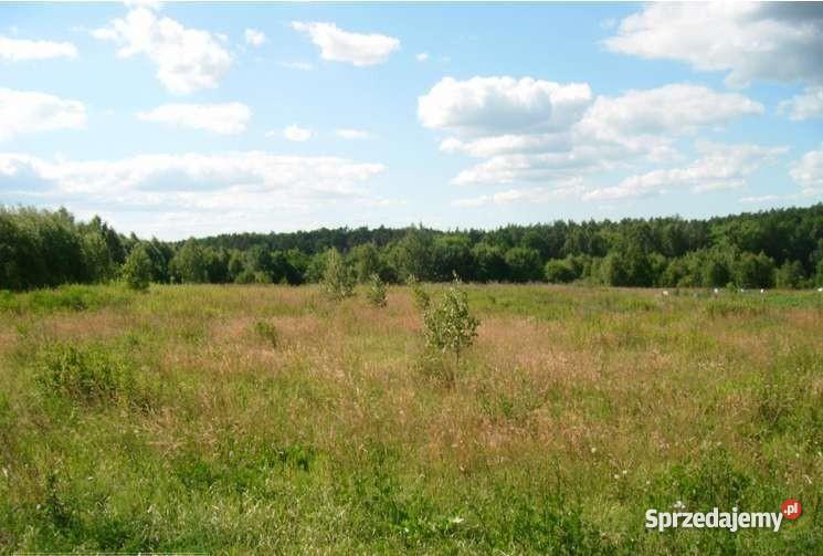 Gardeja działka budowlana26000m2 działki 1200m2 woda pomorskie Gardeja sprzedam