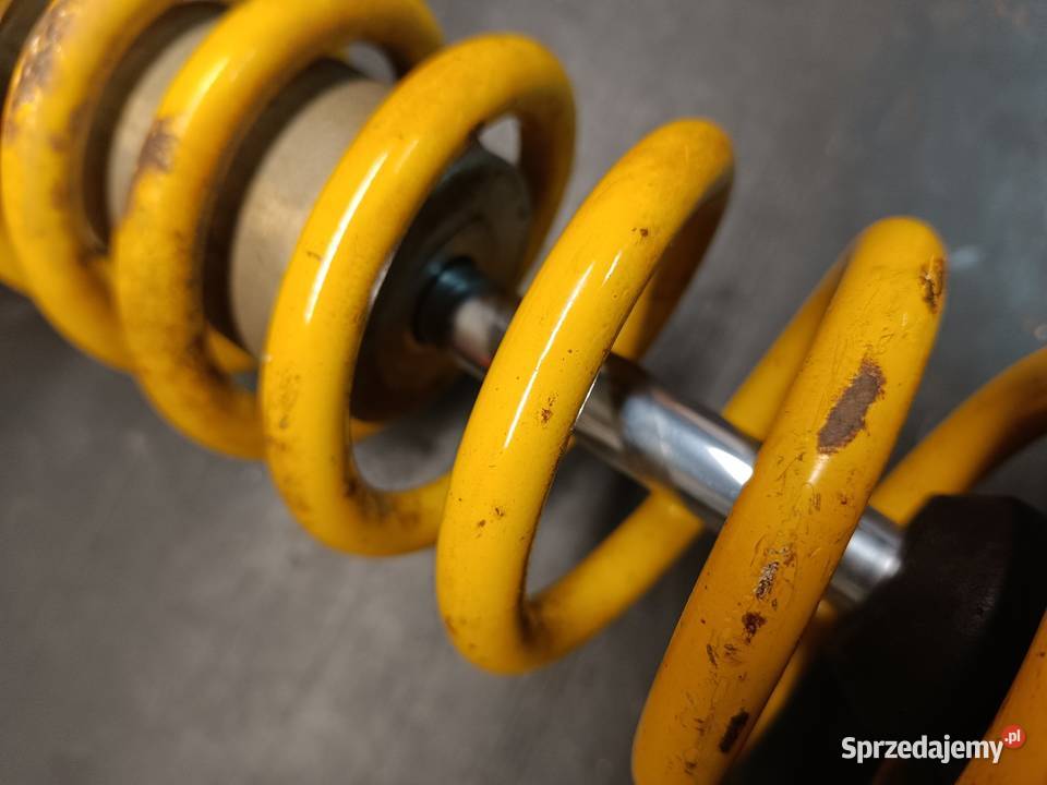 Amortyzator tył centralny zawieszenie części Gołaczewy