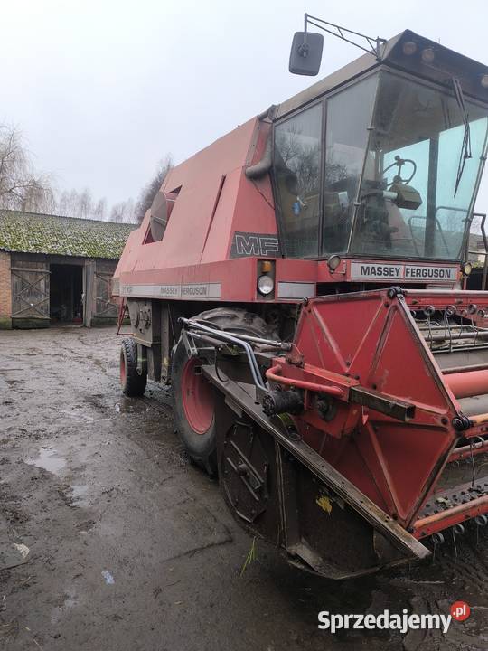 Kombajn zbożowy Massey Ferguson 31xp Zbożowe Brzeźnica Książęca