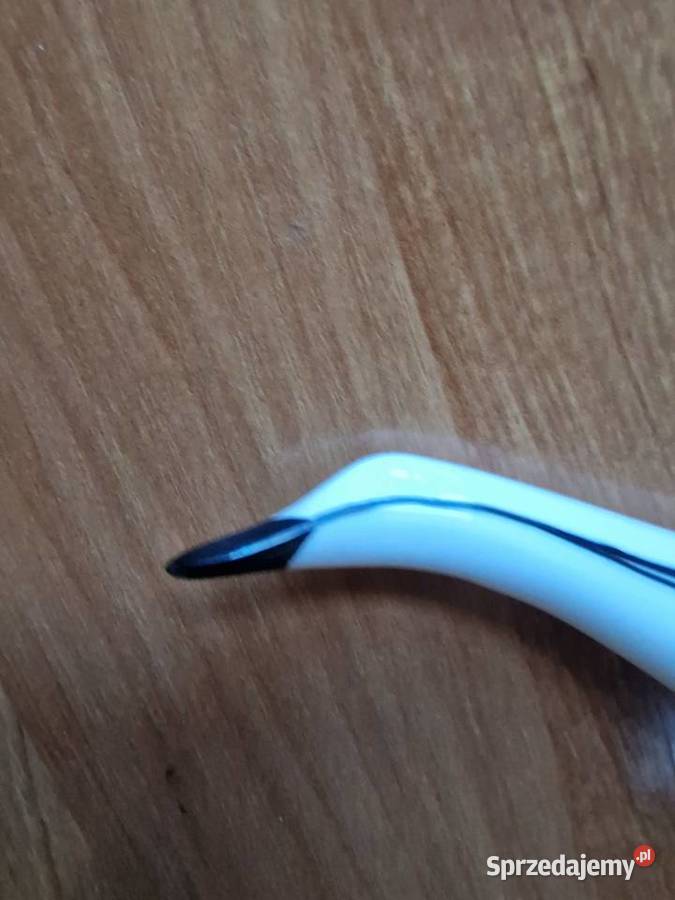 Kaczka Ćmielów Polanica-Zdrój