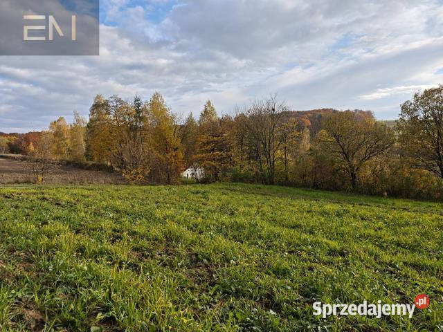 Działka 4300m Gogołów