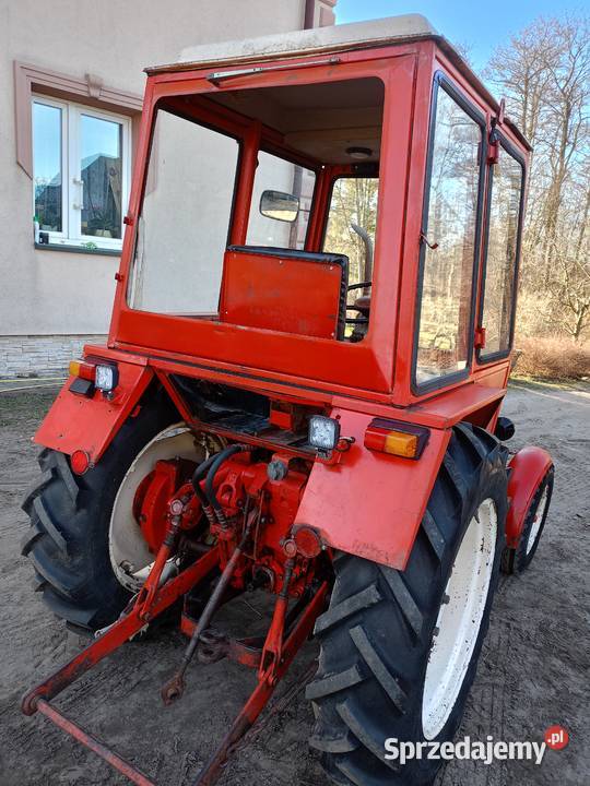 Władymirec T25 oryginał Gwizdów